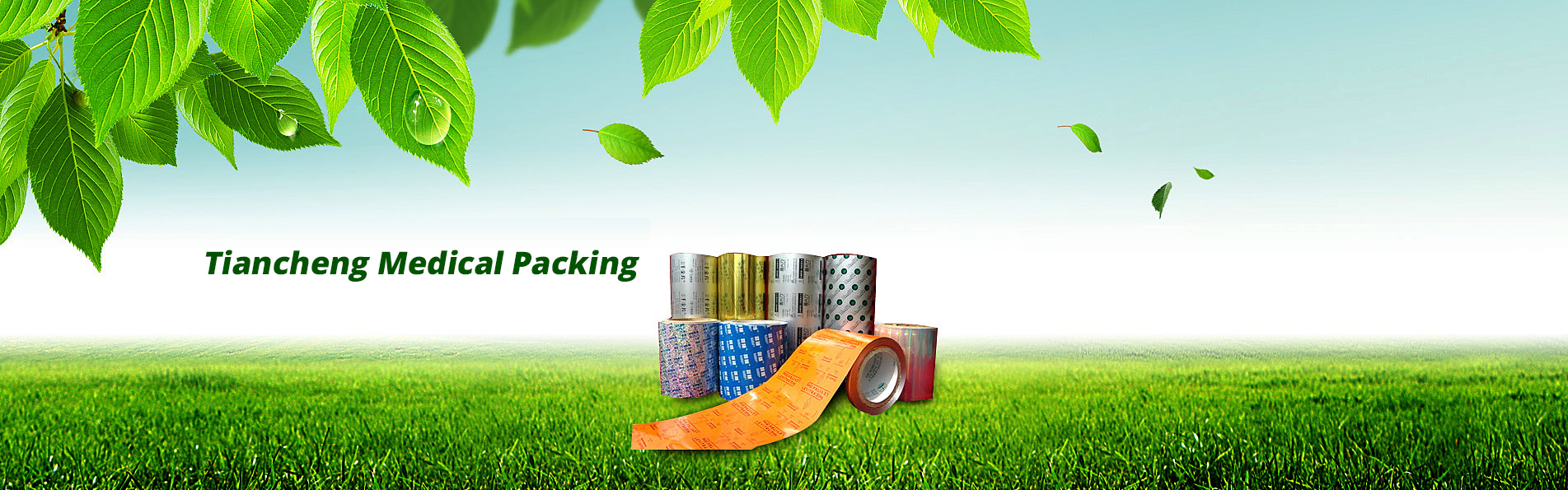 Zhejiang Tiancheng Pharmaceutical Packaging Co., Ltd